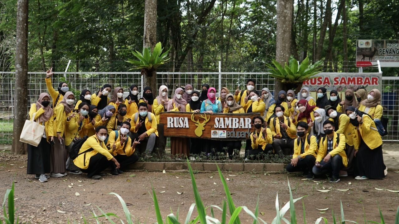 Konservasi Rusa Sambar Menghidupkan Edukasi Lingkungan dan Pelestarian Hayati Kalimantan