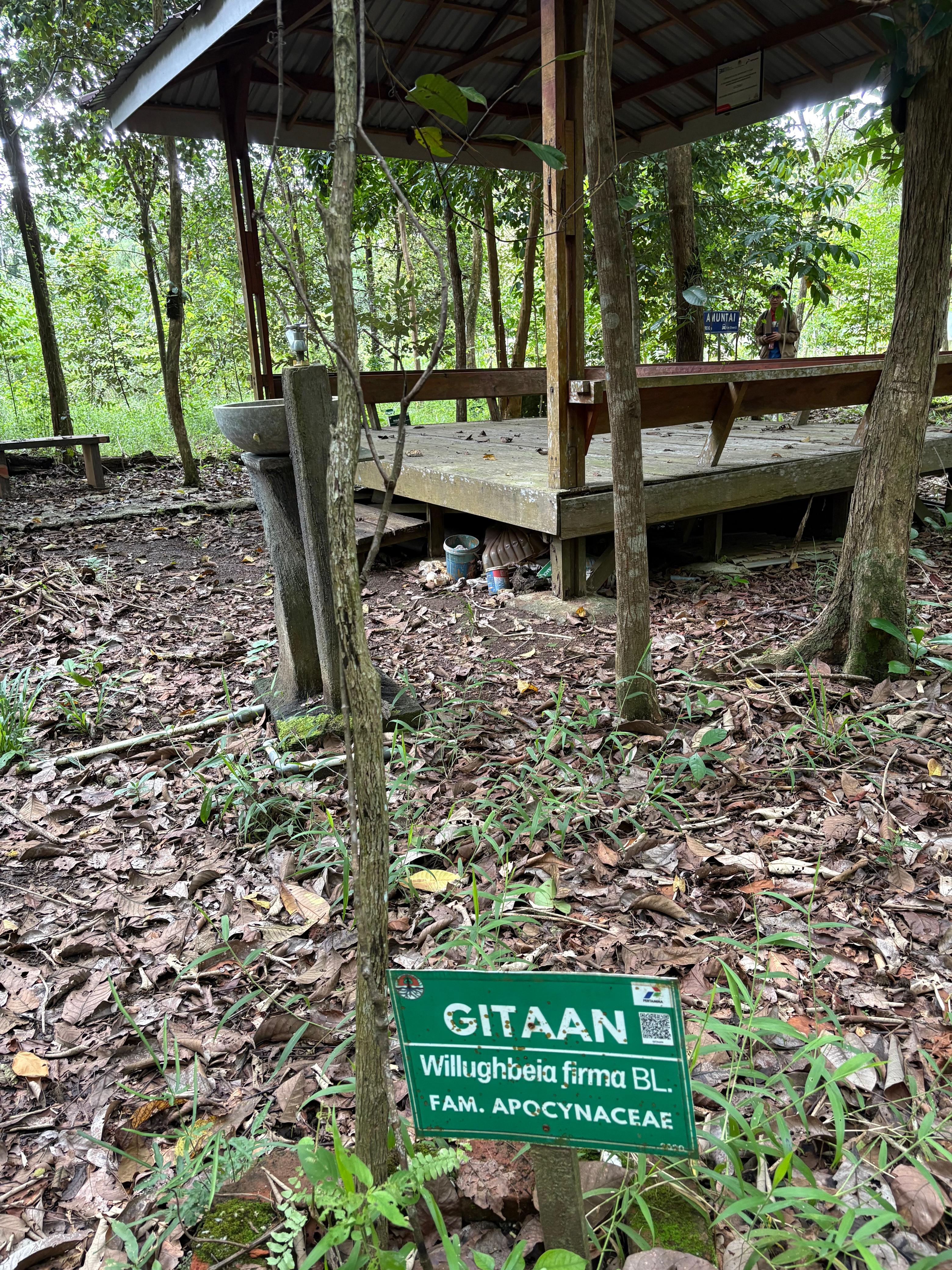 Gitaan